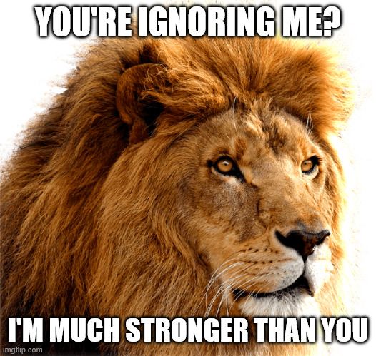A lion looks proud. The text reads: 