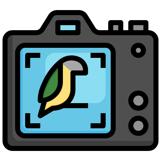 Flaticon Icon