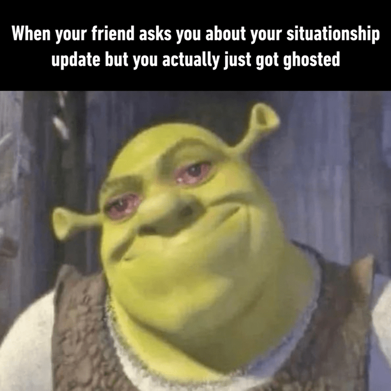 Shrek looks unhappy. The text reads