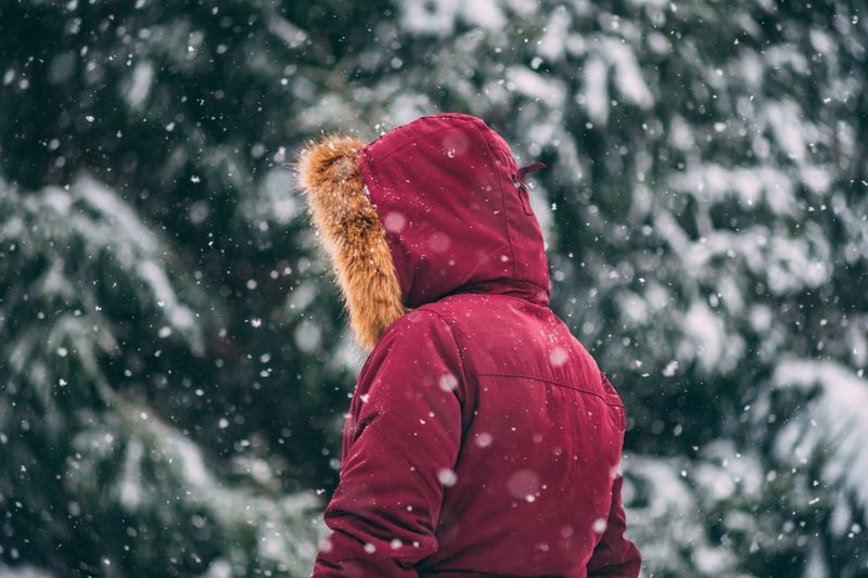 a person wearing a maroon winter jacket in front of a green tree and snowy background with snow falling