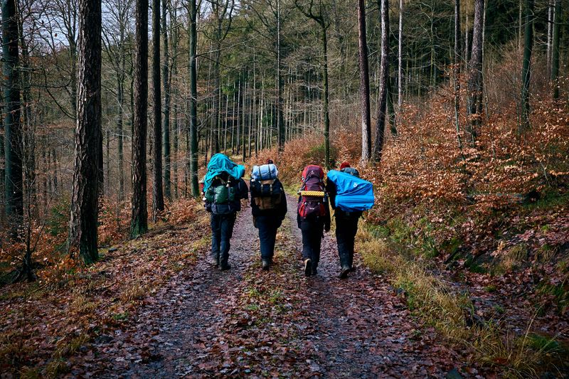 Friends walking in the forest with hiking backpacks on their backs.