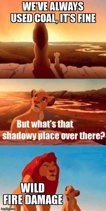 Scenes from the Lion King, Simba asks 'what is the shadowy place over there?' Mufasa says 'wild fire damage'
