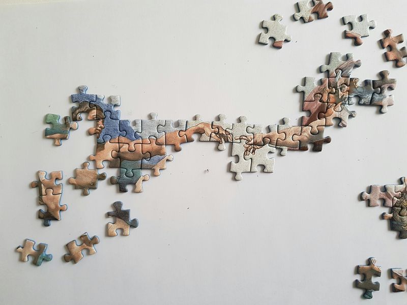 jigsaw puzzle pieces connected in a line form