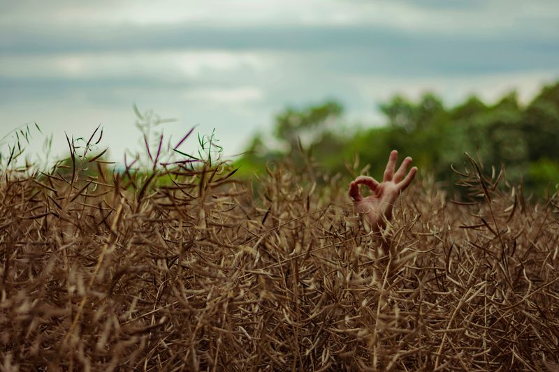 A hand giving the ok sign