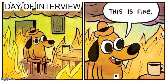 A dog in a burning room on interview day says, 'This is fine.'