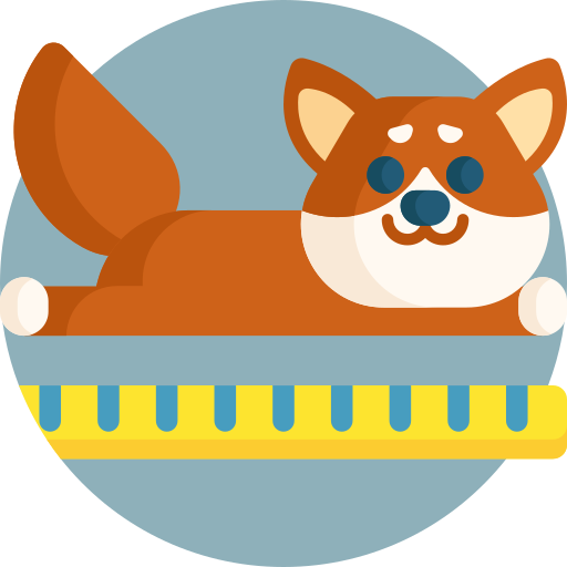 Flaticon Icon