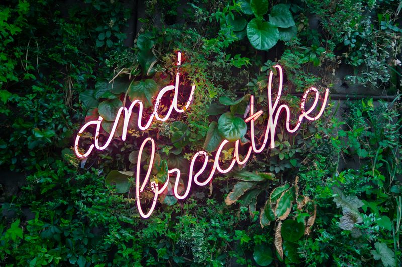 A neon sign on a leafy wall background displaying the words “and breathe.”