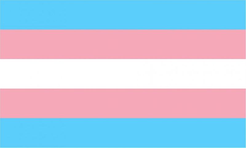 Transgender flag