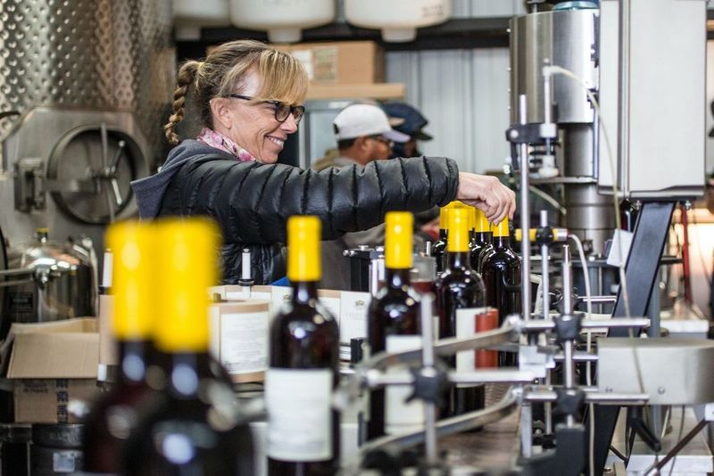 A wine maker in a winery bottling red wines.