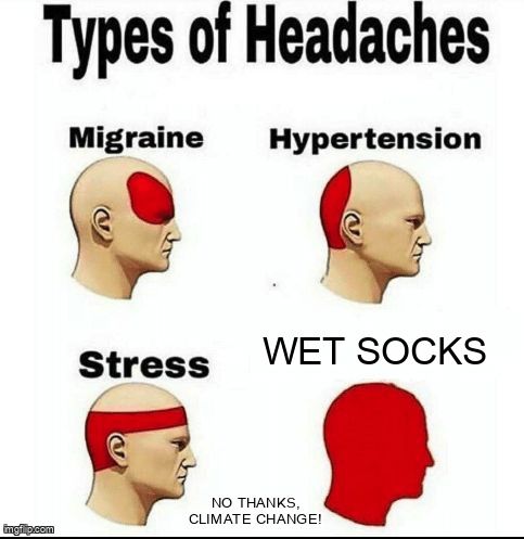 A meme that depicts wet socks due to climate change as a major type of headache.