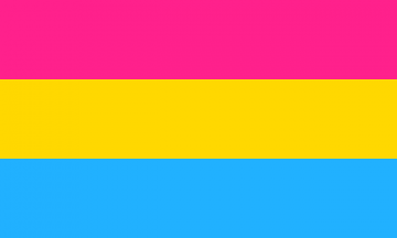 Pansexual pride flag with pink, yellow, blue.
