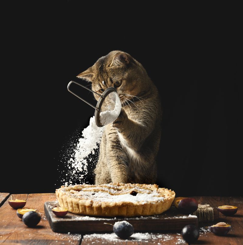 A cat pouring sugar on a pie