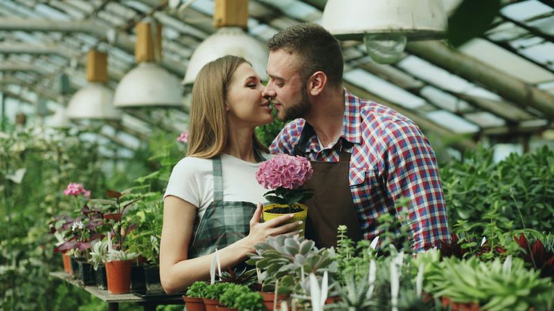 A couple gardening together in a greenhouse while sharing a kiss.