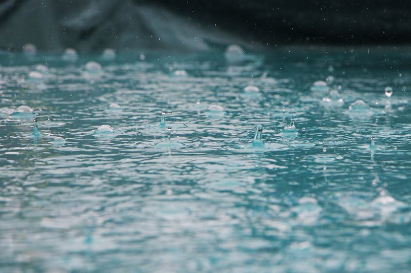Close-up of rain falling on water.
