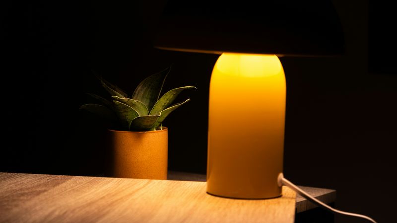 A lamp sits on a table by a plant in a dark room, giving off dim light.