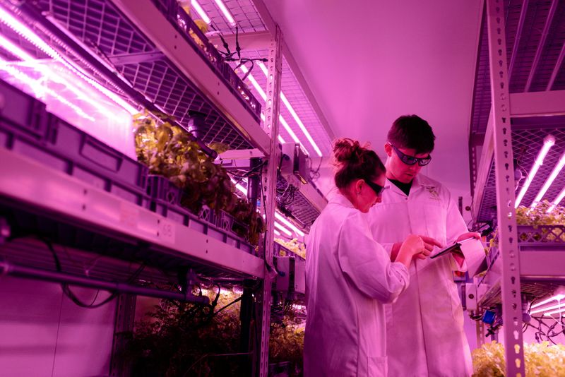 Two people in lab coasts working in a plant lab.