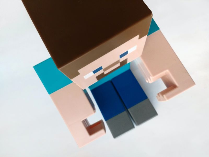 A bird's eye view of Minecraft character Steve.