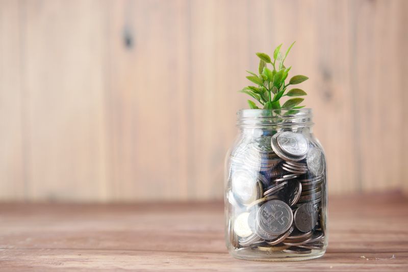 A mason jar filled with coins, with a plant sprouting from the jar.