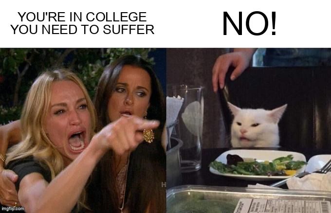 A woman screams, 'You're in college, you need to suffer!' A fancy cat responds, 'No!'