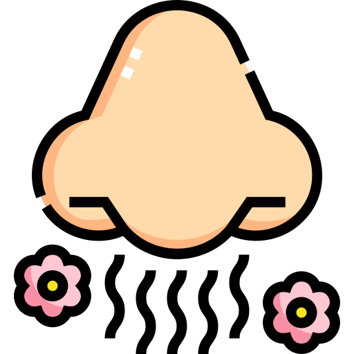 Flaticon Icon