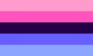 Omnisexual flag with a lighter shade and darker shade of pink, then dark purple, followed by a darker & lighter shade of blue