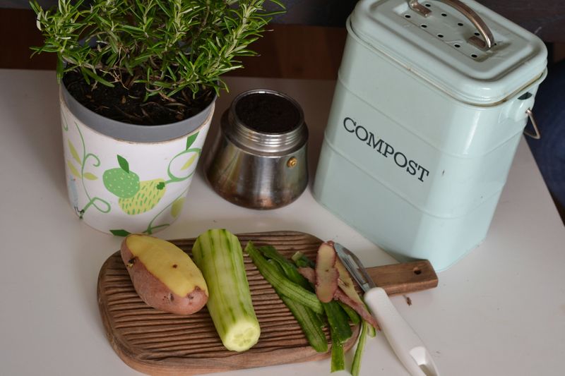 A potato and cucumber on a cutting board alongside a pot of herbs and a small compost bin.