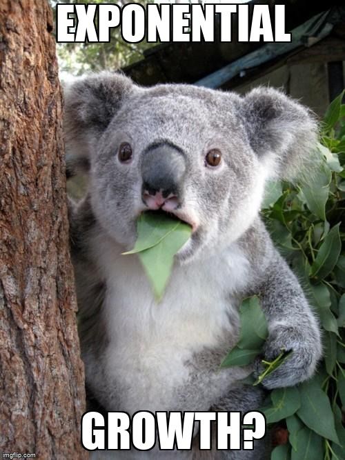 Surprised koala saying, 