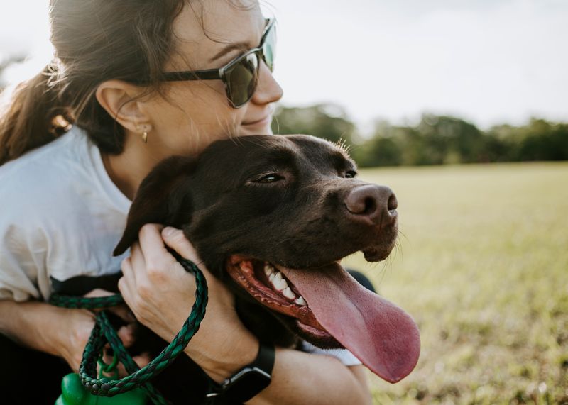 A woman hugging a dog on a sunny day.