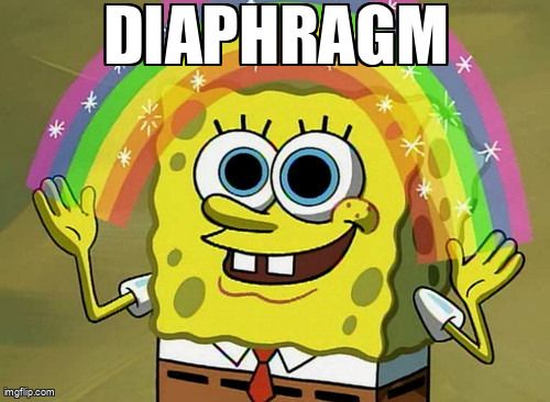 Spongebob holds his hands out, revealing a rainbow. The text reads: "Diaphragm"