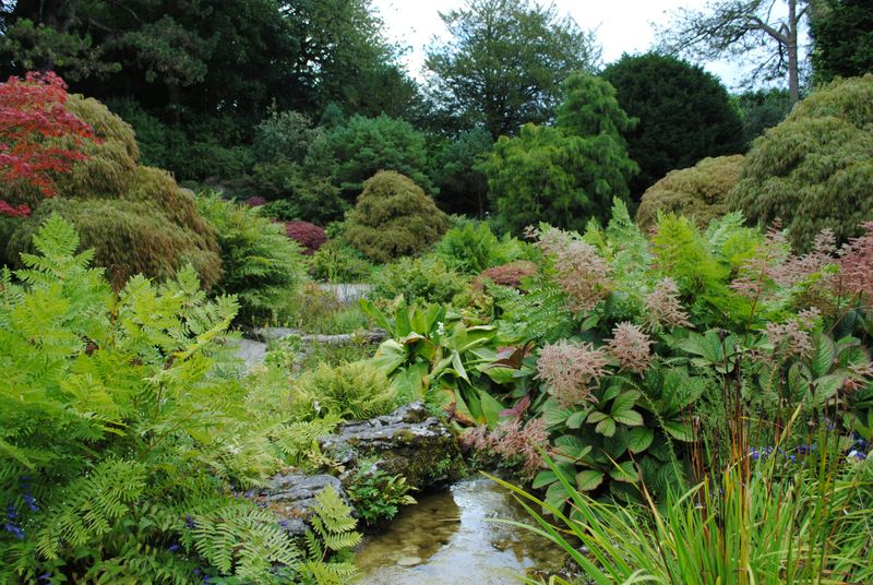 Mixture of plants including ferns, shrubs, flowers, and trees with a garden focused around a small rocky stream feature.