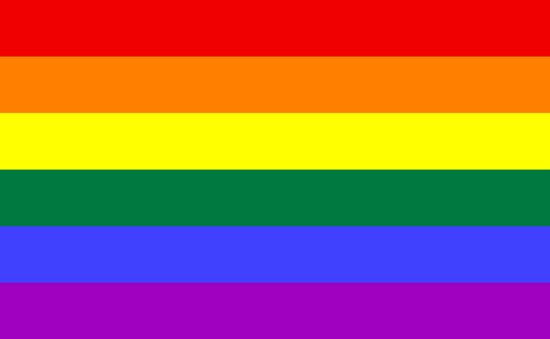 The rainbow flag showing 6 colors (red, orange, yellow, green, blue and purple).