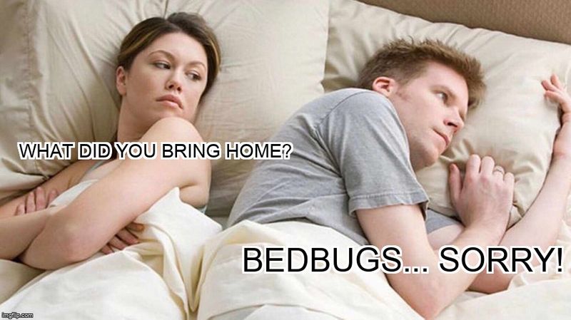 Angry Wife Meme- 'What did you bring home?' 'Bedbugs...sorry!'