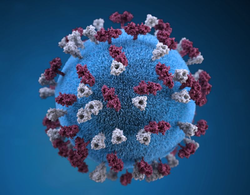 A 3D image of a virus.