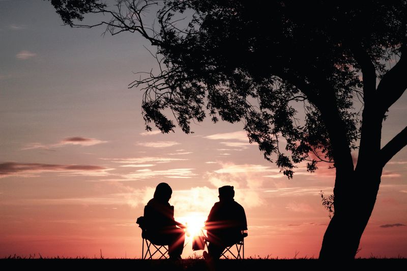 Photo of two people talking under a tree at sunset.
