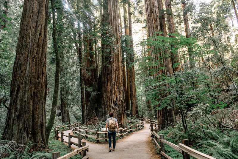 A person standing in a wooded area. In front of the person is a fork in the sidewalk. The person has to decide which was to g