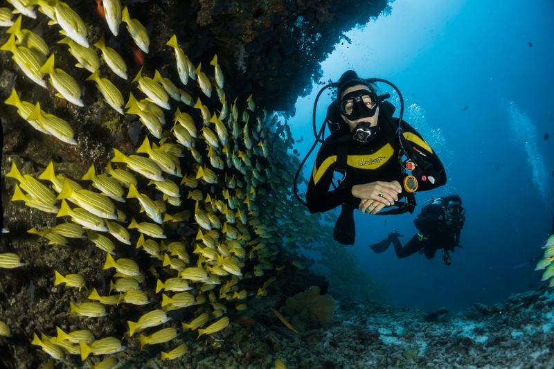 A group of people scuba diving in a coral reef.