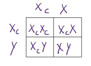 Punnet Square B clockwise from top left: XcXc, XcX, XcY, XY
