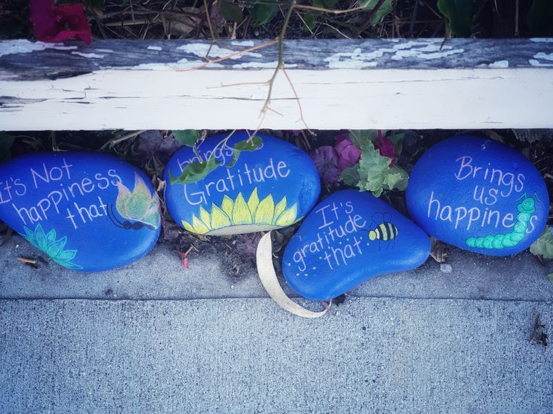 Rocks with written messages that say, 'It's not happiness that brings gratitude. It's gratitude that brings us happiness.'