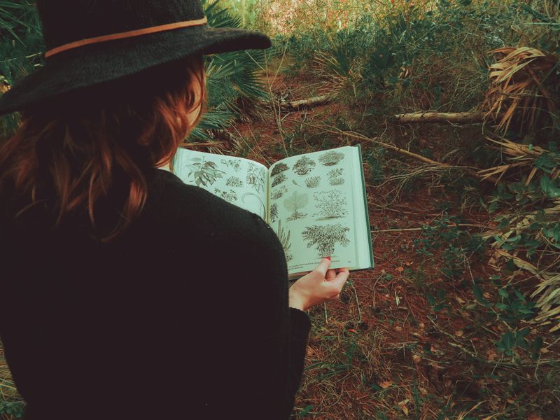 A girl on a forest trail looking at a plant identification book
