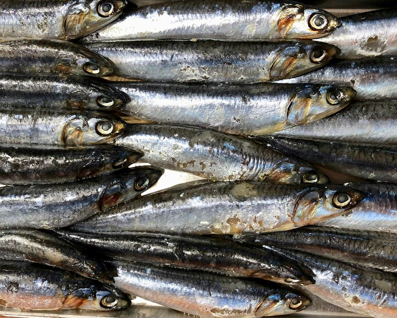 Sardines in a tin.