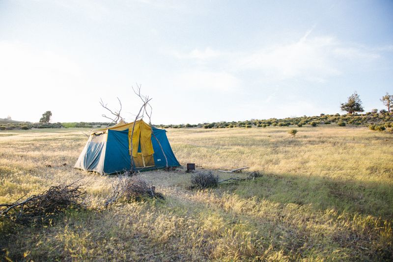 a tent adorned with tree branches in the middle on a field 