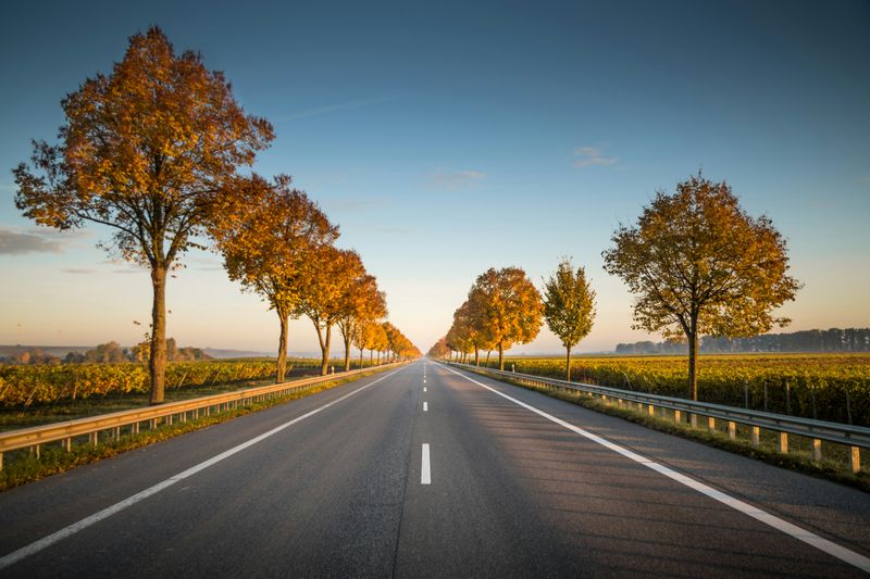 Highway in a place with no buildings around. There are a few trees on the side and crops outside.