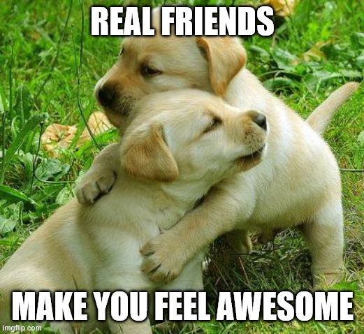 Two puppies hugging, captioned, 