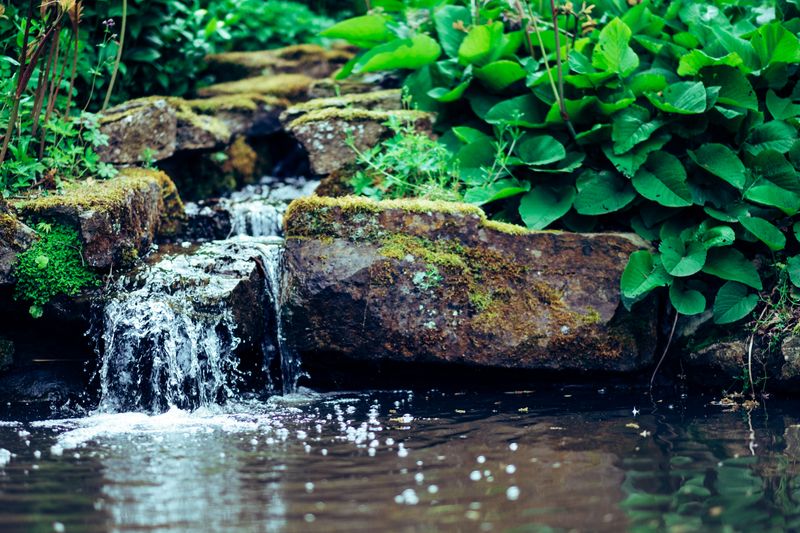 water trickling over rocks into a pool with garden plants at the edges.