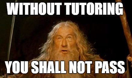Man with long white hair saying, Without tutoring you shall not pass.