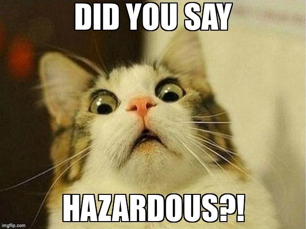 Scared cat. The text reads, 'Did you say hazardous?'