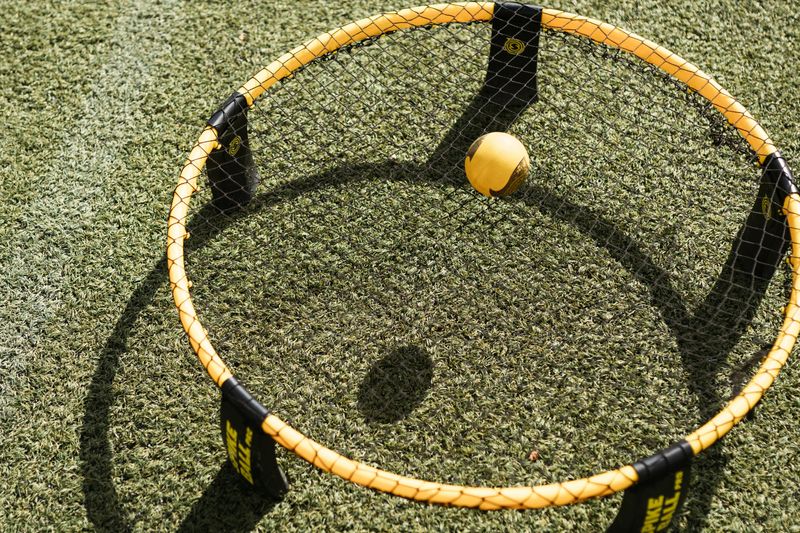 Spikeball net and ball