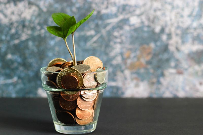 A small glass vase filled with coins and a small plant growing out of it.