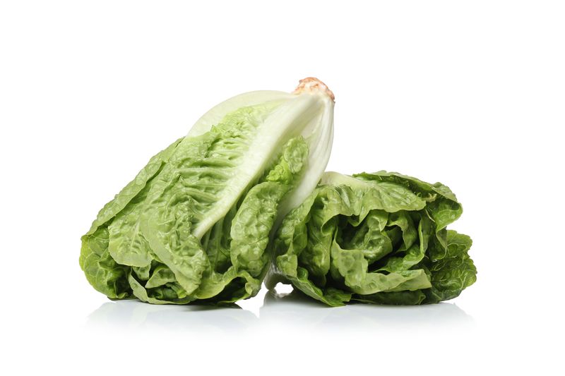 Image of 2 bunches of romaine lettuce. 