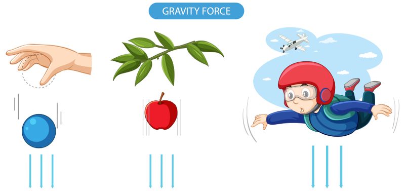One-pager explaining gravity with a ball being dropped, an apple falling from a tree, and a skydiver jumping from a plane 